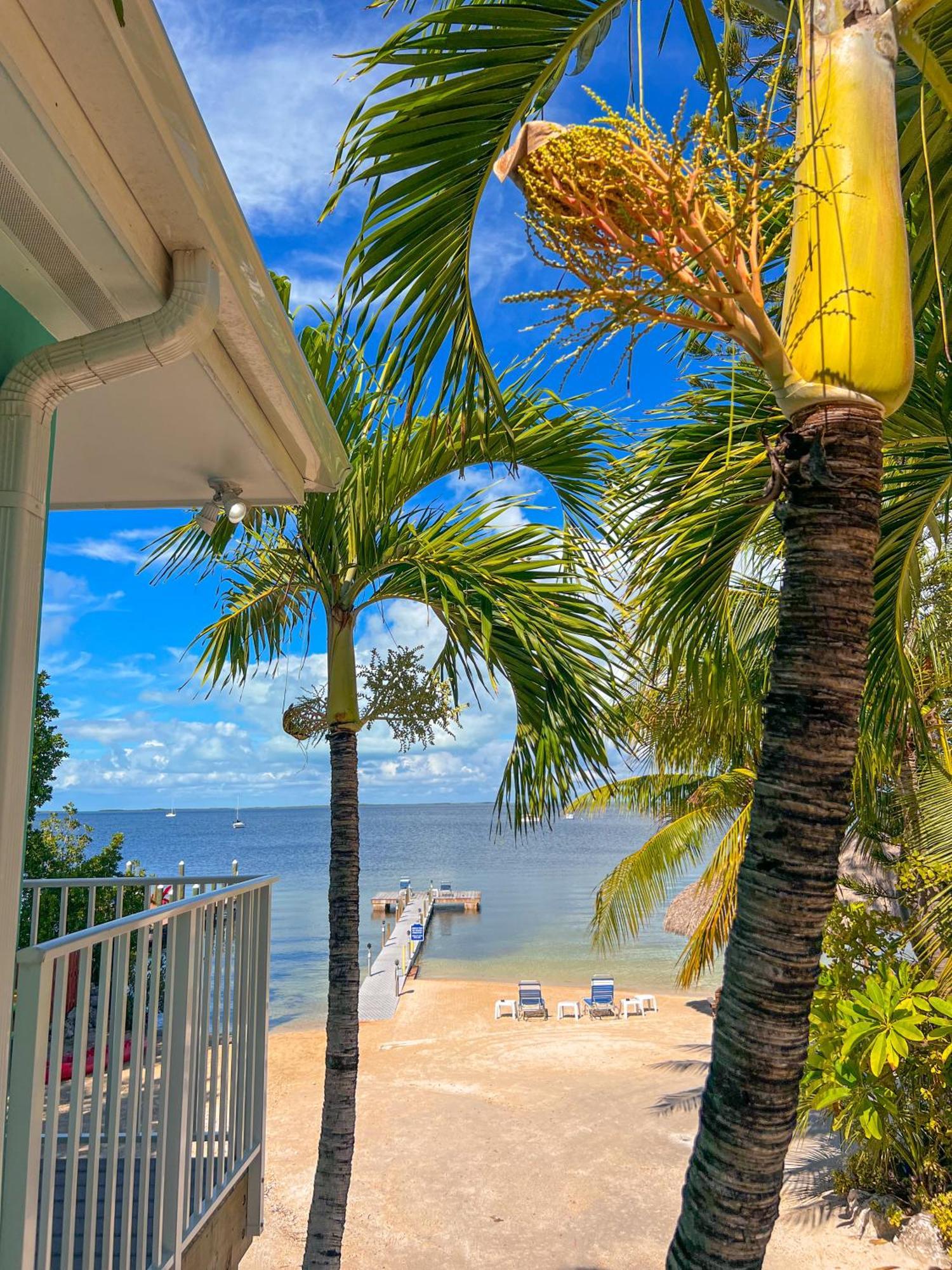 Sunset Cove Beach Resort Key Largo Exterior photo